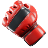 Combat Sports icon